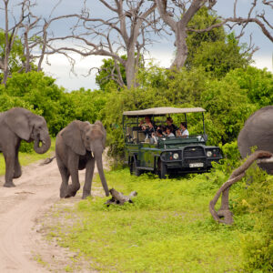 9 Days Victoria Falls, Chobe NP, Savuti & Moremi Game Reserve